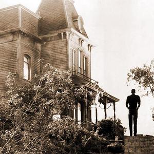 美女真人穿丝袜视频大全
