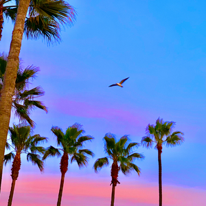 美女真人穿丝袜视频大全
