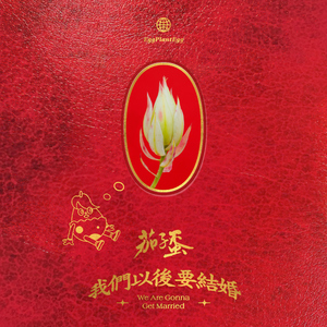 美女真人穿丝袜视频大全
