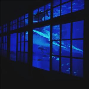 美女真人穿丝袜视频大全
