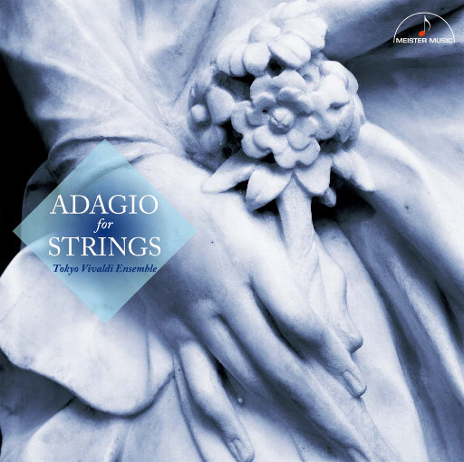 美女真人穿丝袜视频大全
